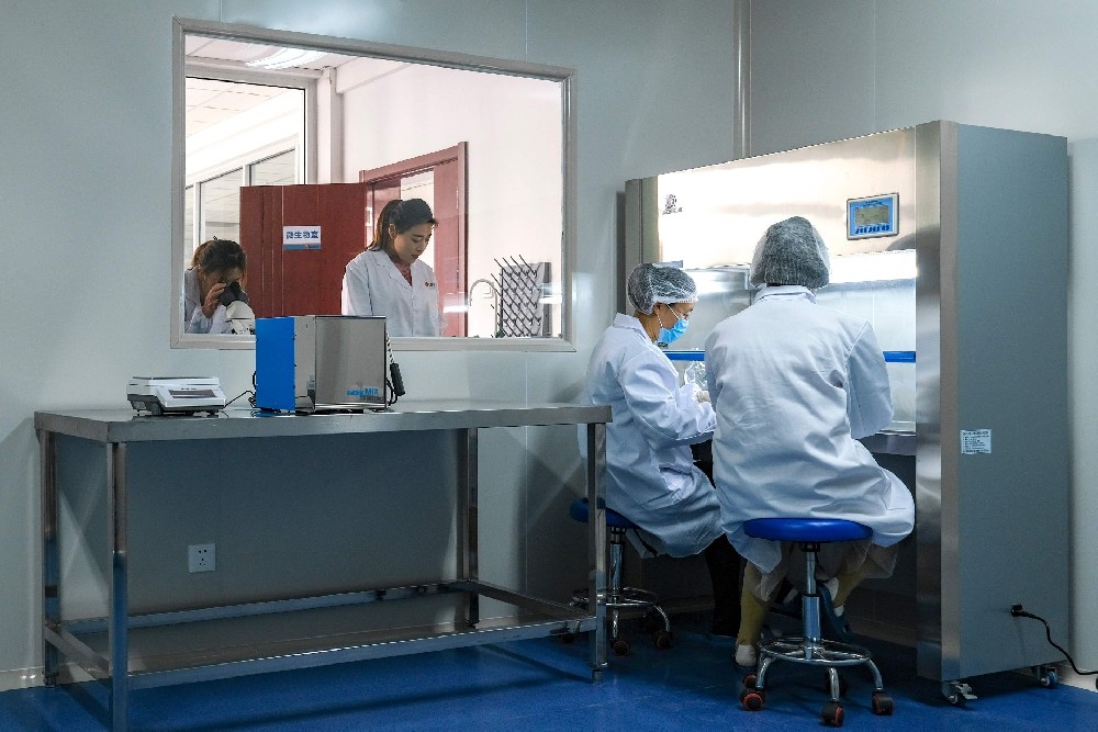 Microbiology Laboratory
