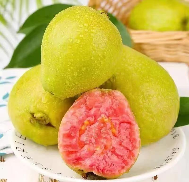 Pink guava puree